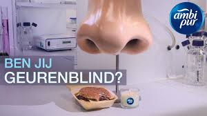 Creatief met taal - Geurenblindheid