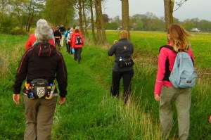 Creatief met taal - wandelen