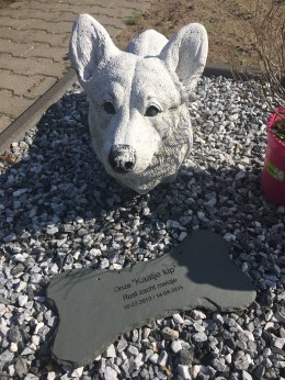 Kaatje Kip - creatief met taal