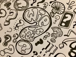 Wie is het - Creatief met taal