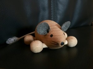 Creatief met taal - muis