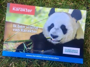 Dreamnight Karakter