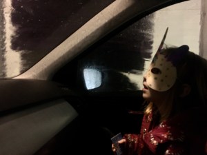 Eenhoorn in de wasstraat